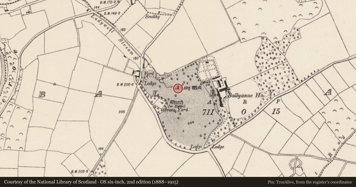 Ordnance Survey six-inch map, 2nd edition (1888–1915) covering the location of Ritual site - holy well, Ballyanne, County Wexford, with a pin at the register's coordinates