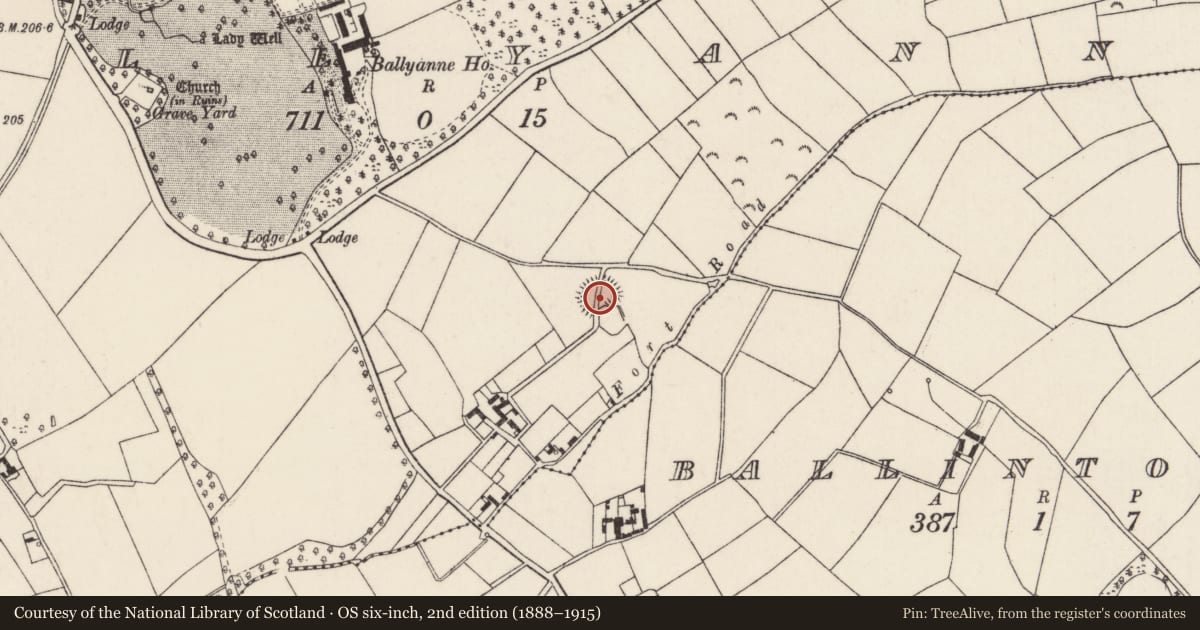 Ordnance Survey six-inch map, 2nd edition (1888–1915) covering the location of Ringfort - rath, Ballyanne, County Wexford, with a pin at the register's coordinates