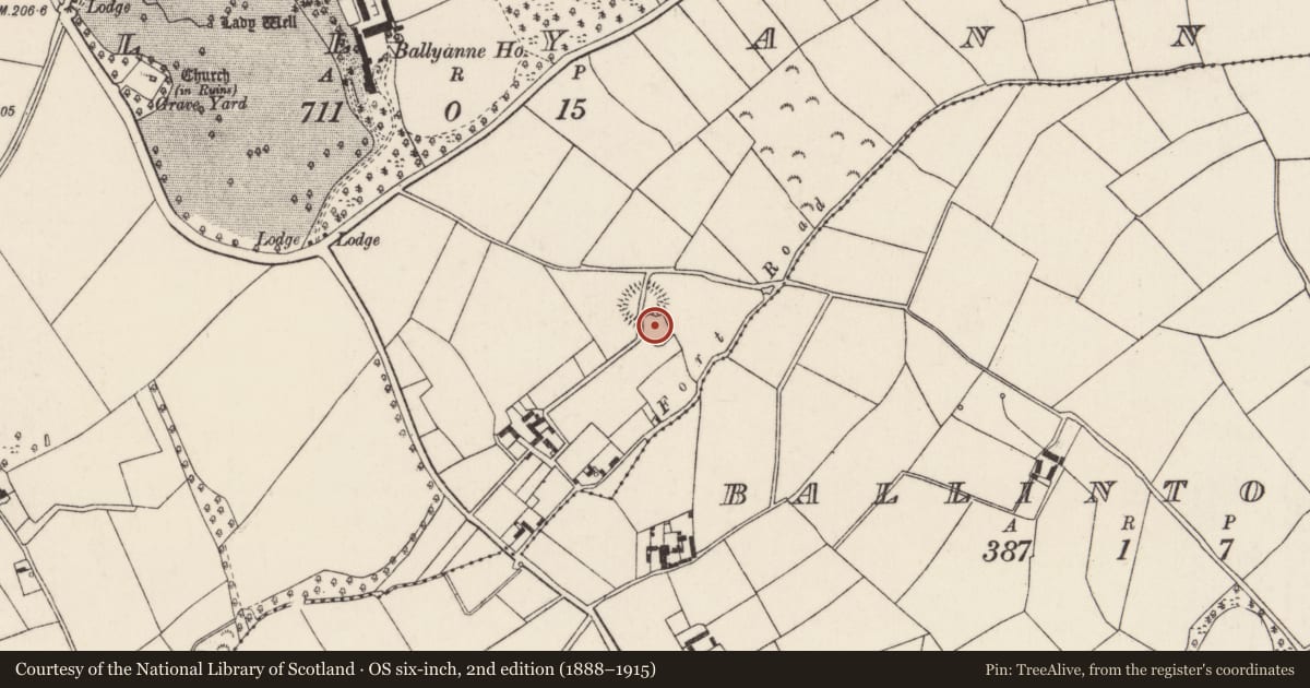 Ordnance Survey six-inch map, 2nd edition (1888–1915) covering the location of Ringfort - rath, Ballyanne, County Wexford, with a pin at the register's coordinates