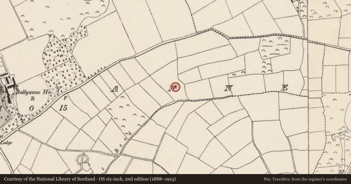Ordnance Survey six-inch map, 2nd edition (1888–1915) covering the location of Ringfort - unclassified, Ballyanne, County Wexford, with a pin at the register's coordinates