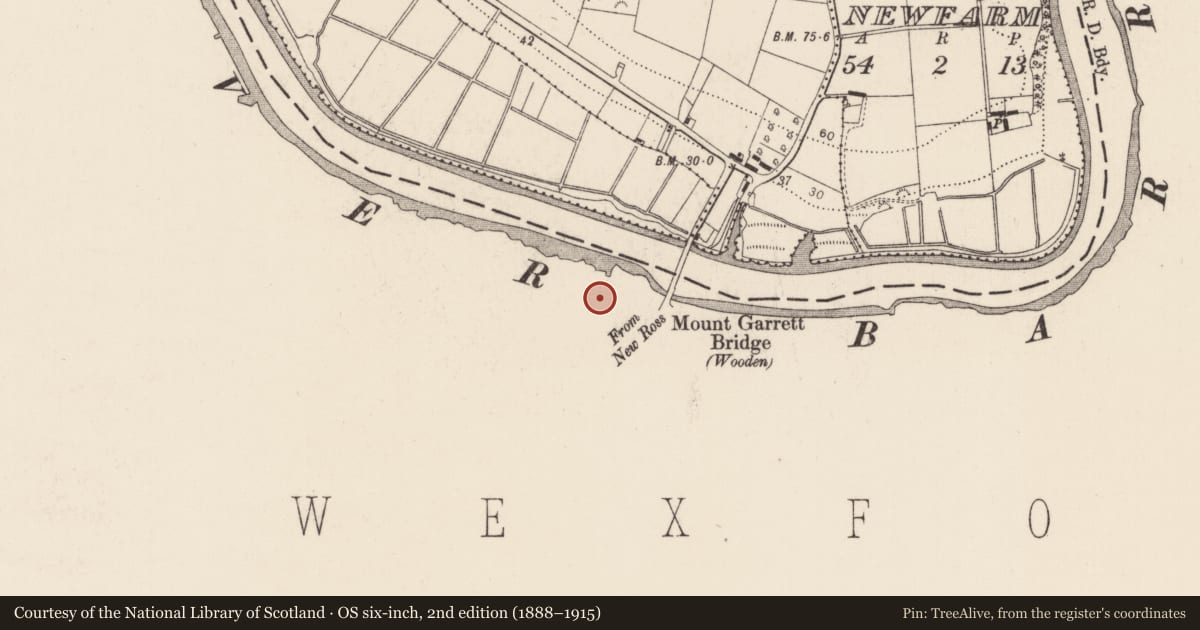 Ordnance Survey six-inch map, 2nd edition (1888–1915) covering the location of Ritual site - holy well, Mountelliott, County Wexford, with a pin at the register's coordinates