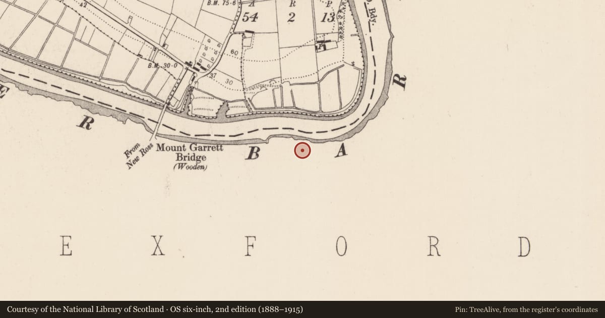 Ordnance Survey six-inch map, 2nd edition (1888–1915) covering the location of House - 17th century, MacMurroughs, County Wexford, with a pin at the register's coordinates