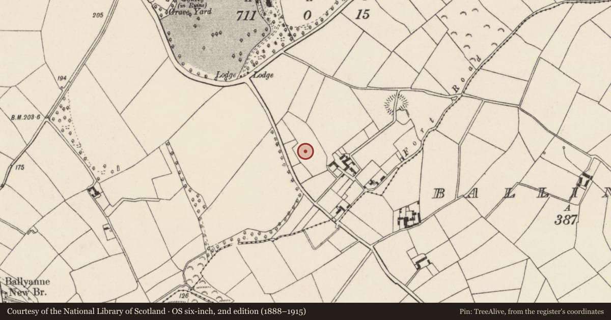 Ordnance Survey six-inch map, 2nd edition (1888–1915) covering the location of Ringfort - unclassified, Ballyanne, County Wexford, with a pin at the register's coordinates