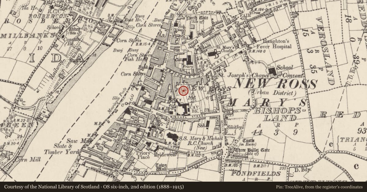 Ordnance Survey six-inch map, 2nd edition (1888–1915) covering the location of Historic town, County Wexford, with a pin at the register's coordinates