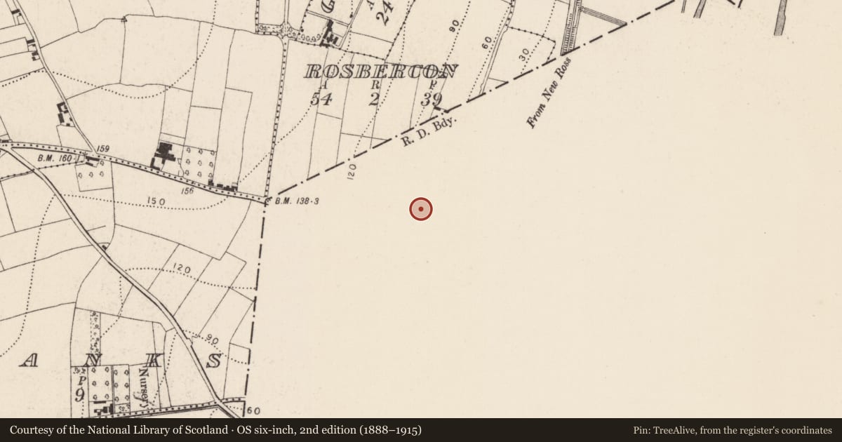 Ordnance Survey six-inch map, 2nd edition (1888–1915) covering the location of Church, Rosbercon, County Wexford, with a pin at the register's coordinates