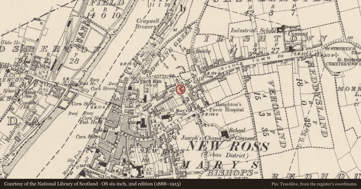 Ordnance Survey six-inch map, 2nd edition (1888–1915) covering the location of Town defences, New Ross, County Wexford, with a pin at the register's coordinates