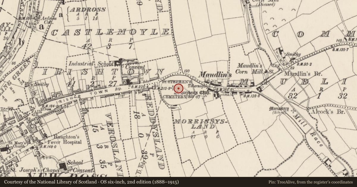 Ordnance Survey six-inch map, 2nd edition (1888–1915) covering the location of Ecclesiastical enclosure, Morrissysland, County Wexford, with a pin at the register's coordinates