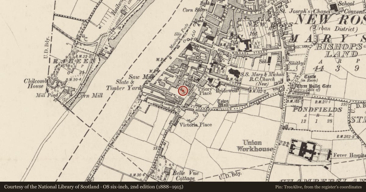 Ordnance Survey six-inch map, 2nd edition (1888–1915) covering the location of Religious house - Fratres Cruciferi, New Ross, County Wexford, with a pin at the register's coordinates