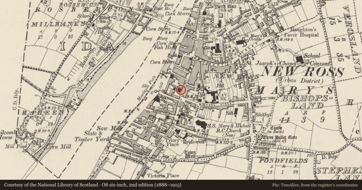 Ordnance Survey six-inch map, 2nd edition (1888–1915) covering the location of Religious house - Augustinian friars, New Ross, County Wexford, with a pin at the register's coordinates
