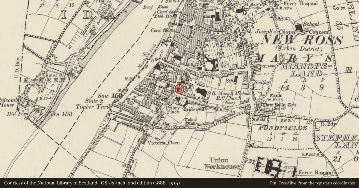 Ordnance Survey six-inch map, 2nd edition (1888–1915) covering the location of Hospital, New Ross, County Wexford, with a pin at the register's coordinates