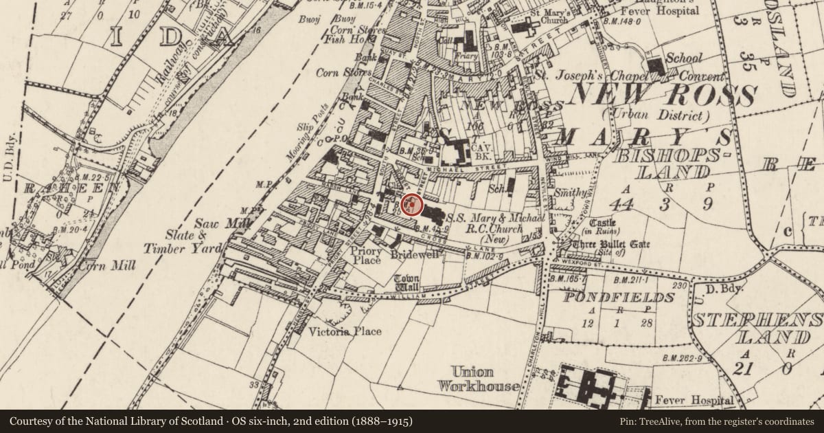 Ordnance Survey six-inch map, 2nd edition (1888–1915) covering the location of Excavation - miscellaneous, New Ross, County Wexford, with a pin at the register's coordinates