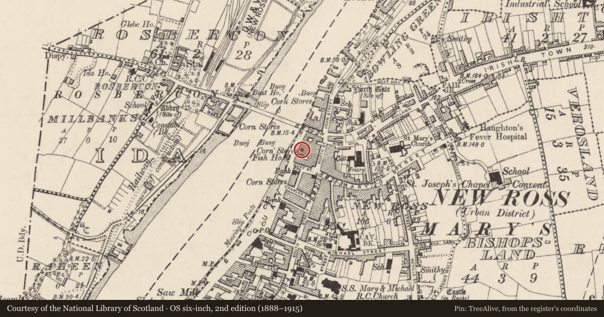 Ordnance Survey six-inch map, 2nd edition (1888–1915) covering the location of Excavation - miscellaneous, New Ross, County Wexford, with a pin at the register's coordinates
