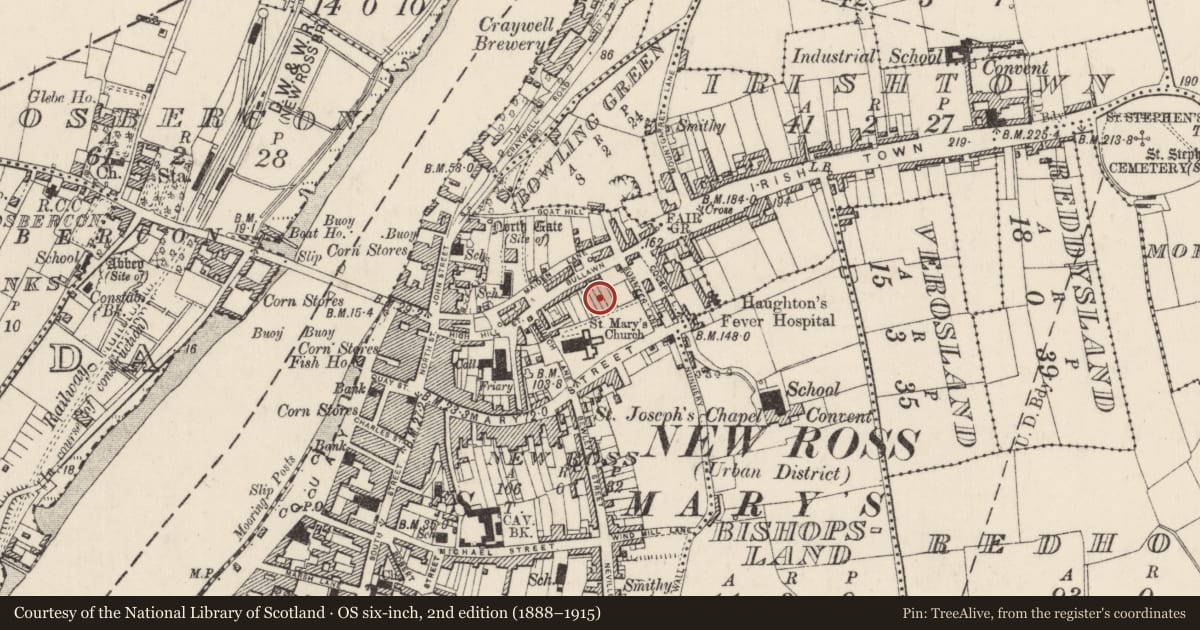 Ordnance Survey six-inch map, 2nd edition (1888–1915) covering the location of Excavation - miscellaneous, New Ross, County Wexford, with a pin at the register's coordinates