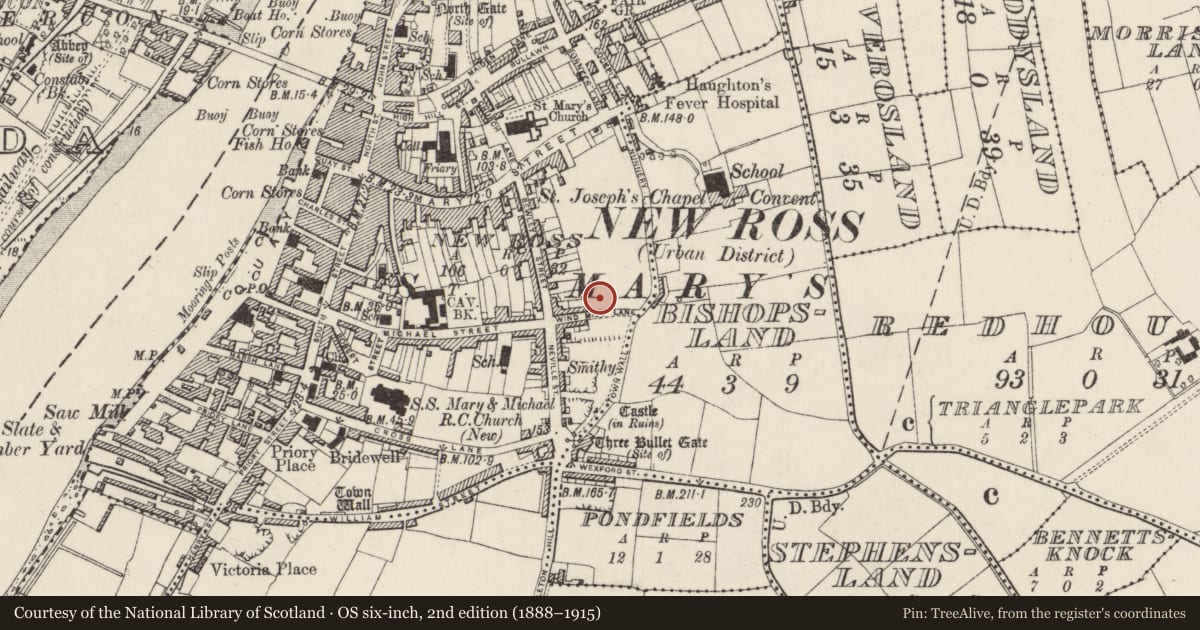 Ordnance Survey six-inch map, 2nd edition (1888–1915) covering the location of Excavation - miscellaneous, New Ross, County Wexford, with a pin at the register's coordinates