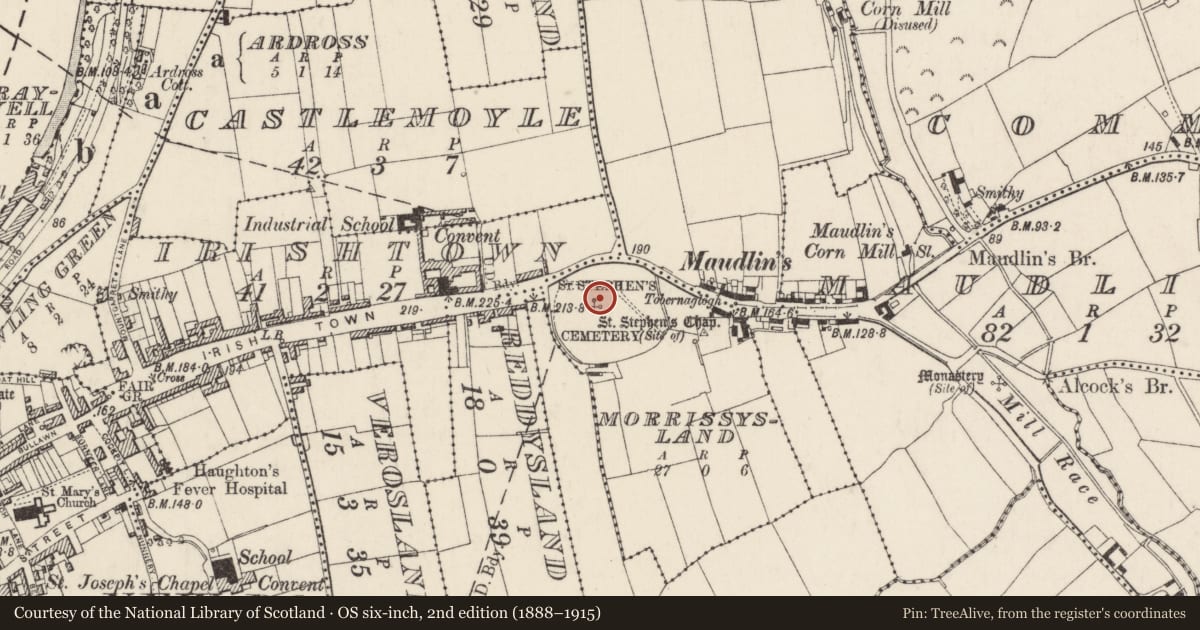 Ordnance Survey six-inch map, 2nd edition (1888–1915) covering the location of Bullaun stone, Morrissysland, County Wexford, with a pin at the register's coordinates