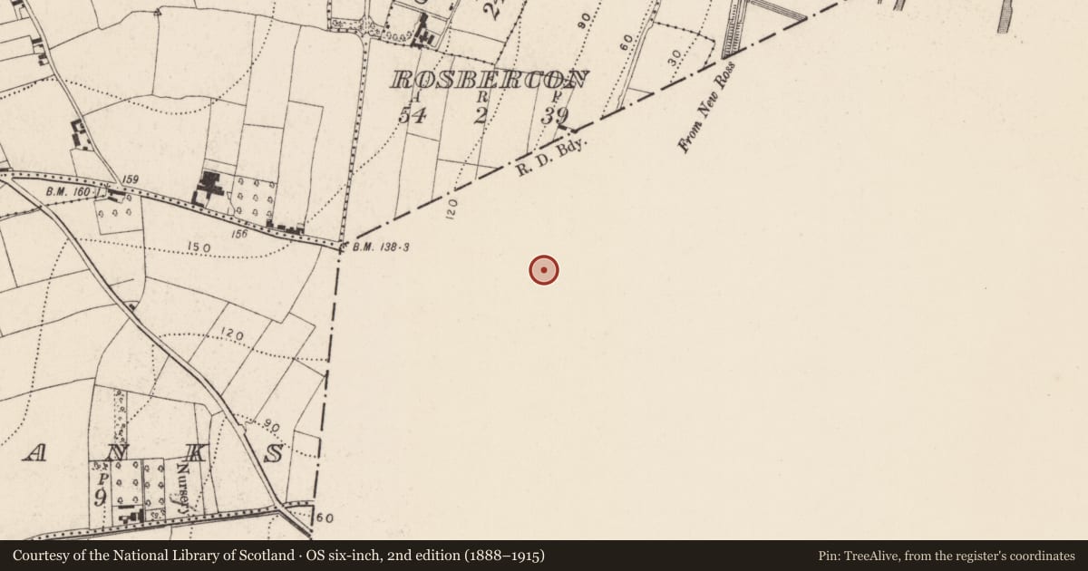 Ordnance Survey six-inch map, 2nd edition (1888–1915) covering the location of Graveslab, Rosbercon, County Wexford, with a pin at the register's coordinates
