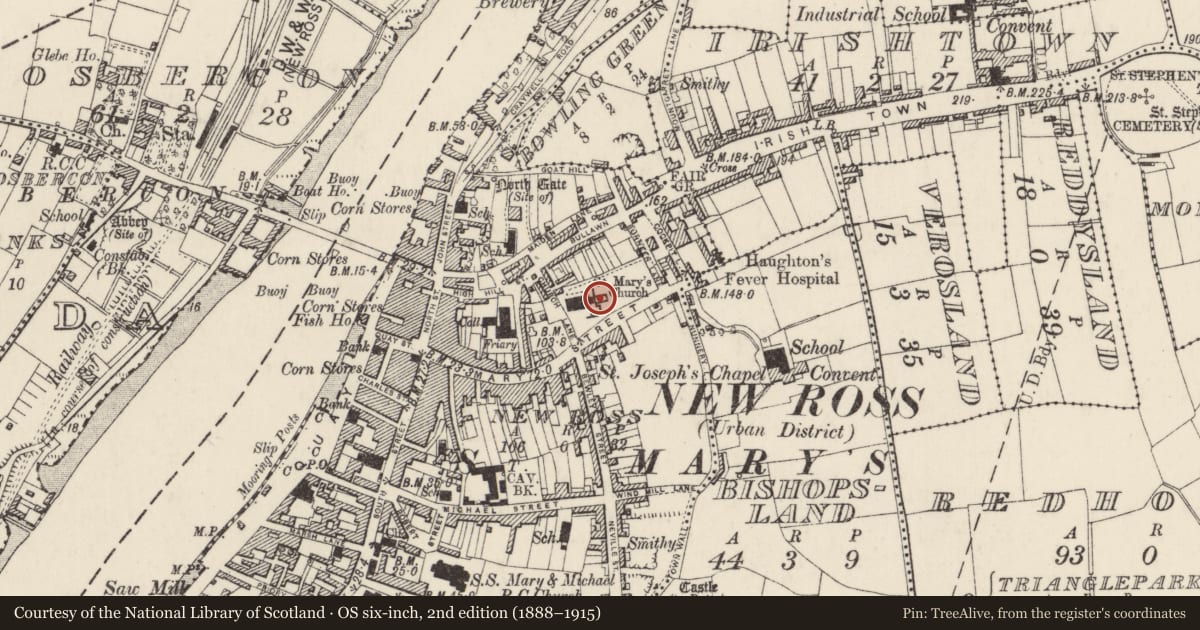 Ordnance Survey six-inch map, 2nd edition (1888–1915) covering the location of Graveslab, New Ross, County Wexford, with a pin at the register's coordinates