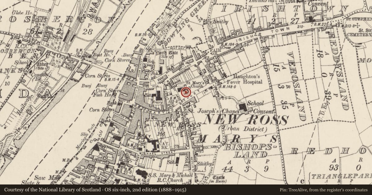 Ordnance Survey six-inch map, 2nd edition (1888–1915) covering the location of Tomb - chest tomb, New Ross, County Wexford, with a pin at the register's coordinates