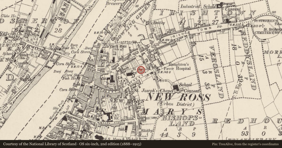 Ordnance Survey six-inch map, 2nd edition (1888–1915) covering the location of Graveslab, New Ross, County Wexford, with a pin at the register's coordinates