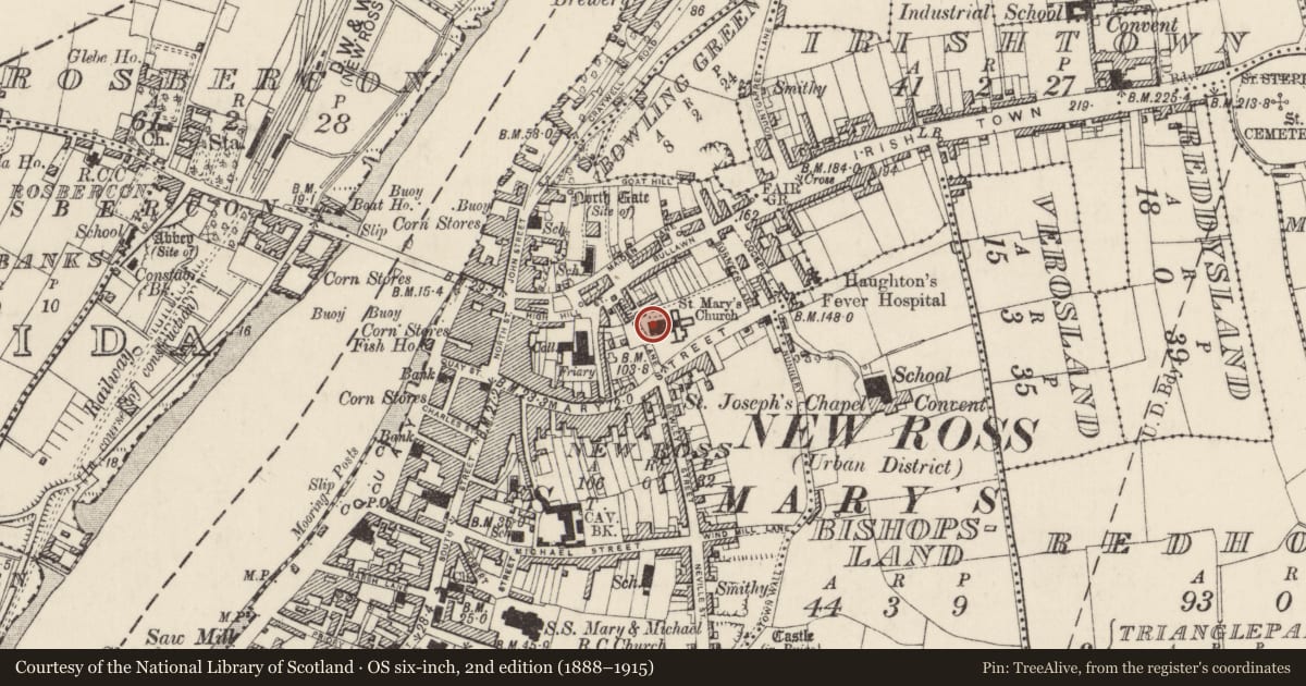 Ordnance Survey six-inch map, 2nd edition (1888–1915) covering the location of Sarcophagus, New Ross, County Wexford, with a pin at the register's coordinates