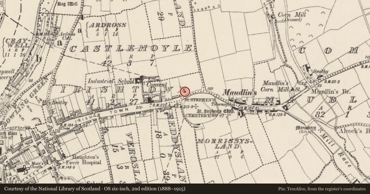 Ordnance Survey six-inch map, 2nd edition (1888–1915) covering the location of Hearth, Irishtown, County Wexford, with a pin at the register's coordinates