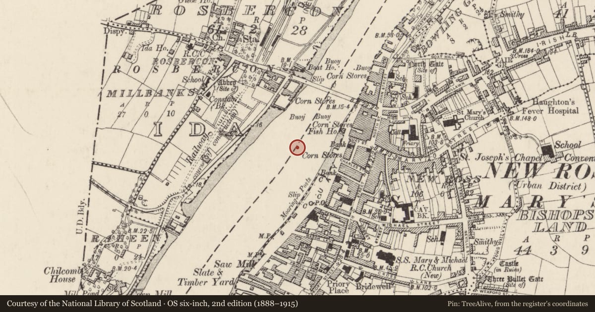 Ordnance Survey six-inch map, 2nd edition (1888–1915) covering the location of Bridge, New Ross, Rosbercon, County Wexford, with a pin at the register's coordinates