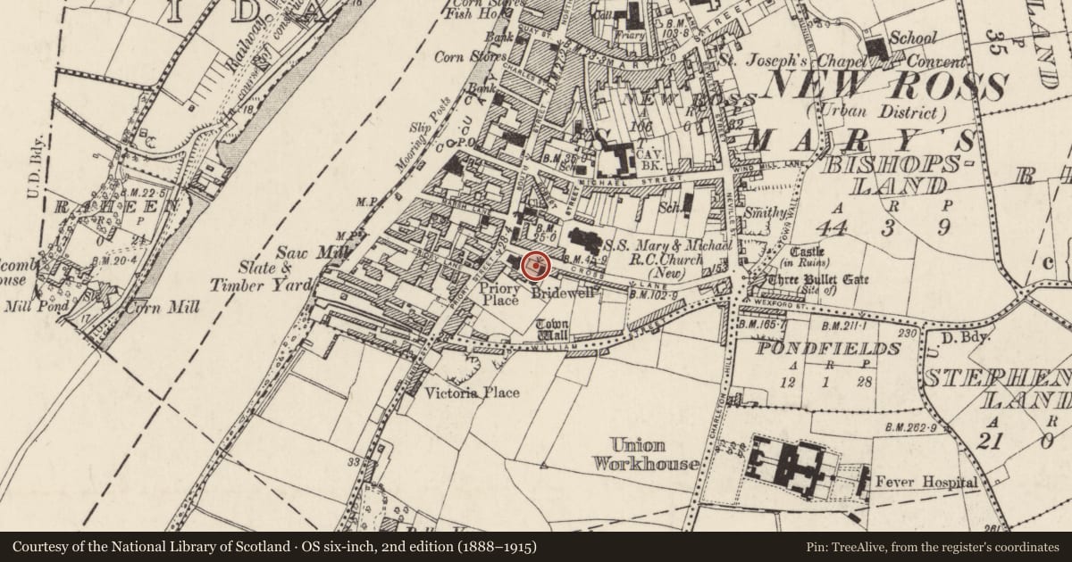 Ordnance Survey six-inch map, 2nd edition (1888–1915) covering the location of Burial, New Ross, County Wexford, with a pin at the register's coordinates