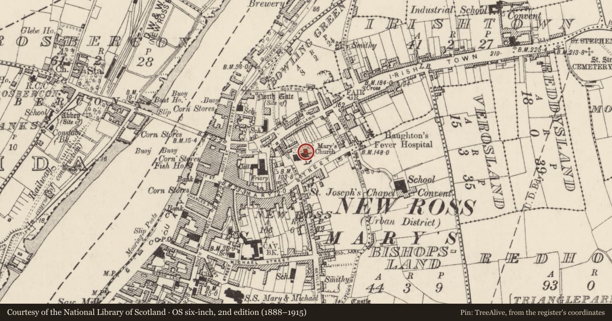 Ordnance Survey six-inch map, 2nd edition (1888–1915) covering the location of Graveslab, New Ross, County Wexford, with a pin at the register's coordinates