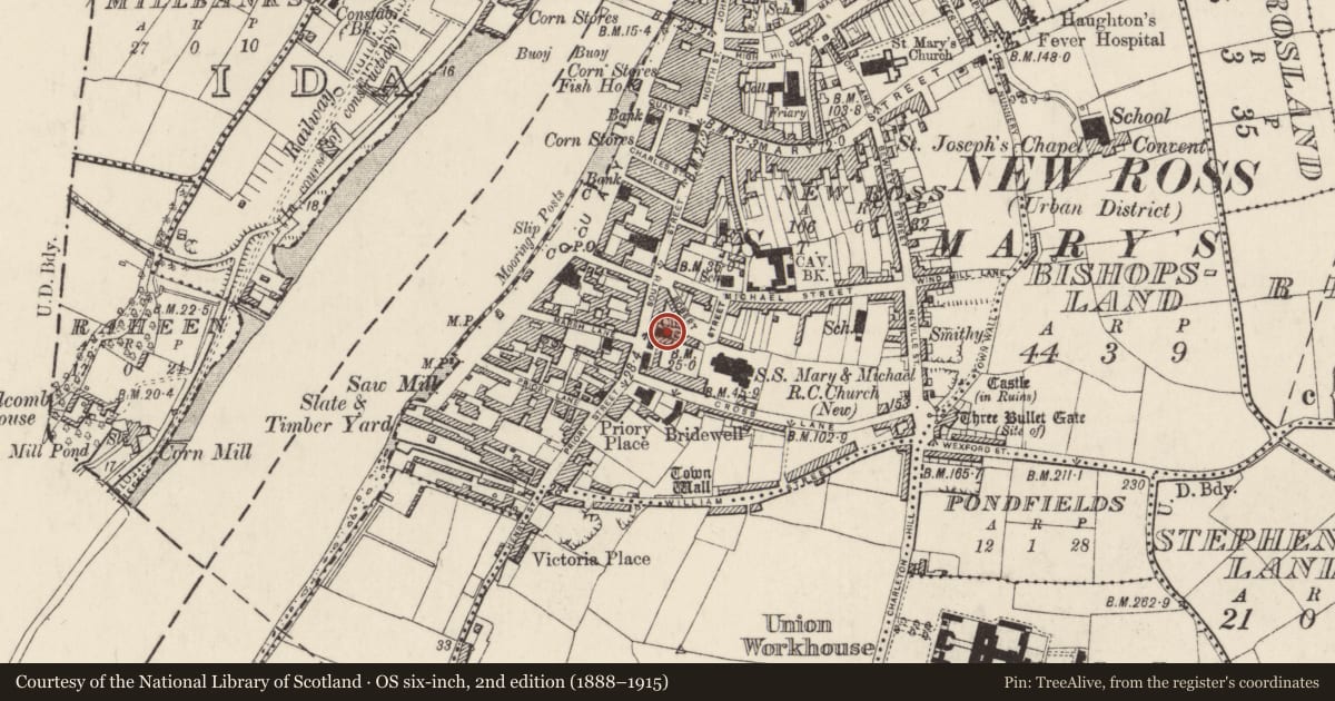 Ordnance Survey six-inch map, 2nd edition (1888–1915) covering the location of Church, New Ross, County Wexford, with a pin at the register's coordinates
