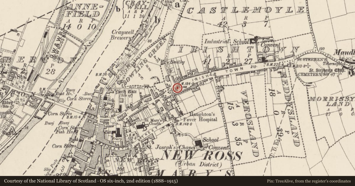 Ordnance Survey six-inch map, 2nd edition (1888–1915) covering the location of Cross, New Ross, County Wexford, with a pin at the register's coordinates