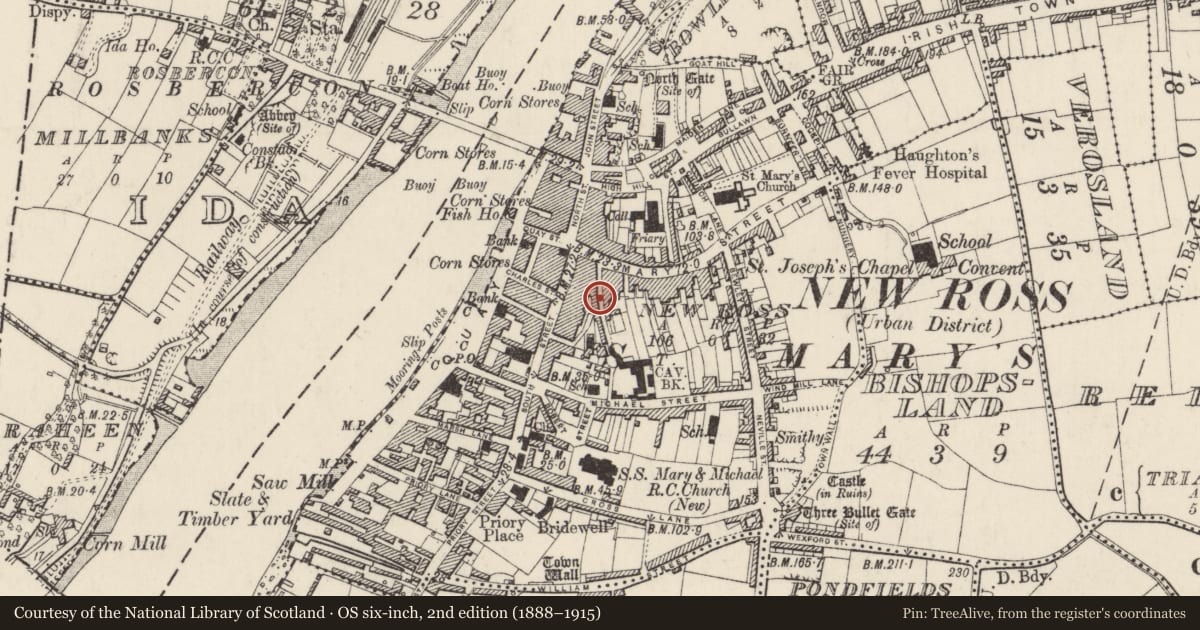 Ordnance Survey six-inch map, 2nd edition (1888–1915) covering the location of Stone head, New Ross, County Wexford, with a pin at the register's coordinates