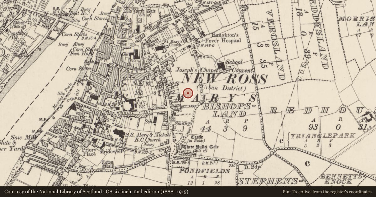 Ordnance Survey six-inch map, 2nd edition (1888–1915) covering the location of Battlefield, County Wexford, with a pin at the register's coordinates