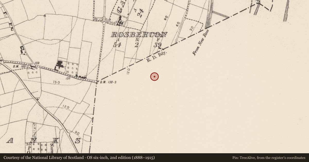 Ordnance Survey six-inch map, 2nd edition (1888–1915) covering the location of Bullaun stone, Rosbercon, County Wexford, with a pin at the register's coordinates