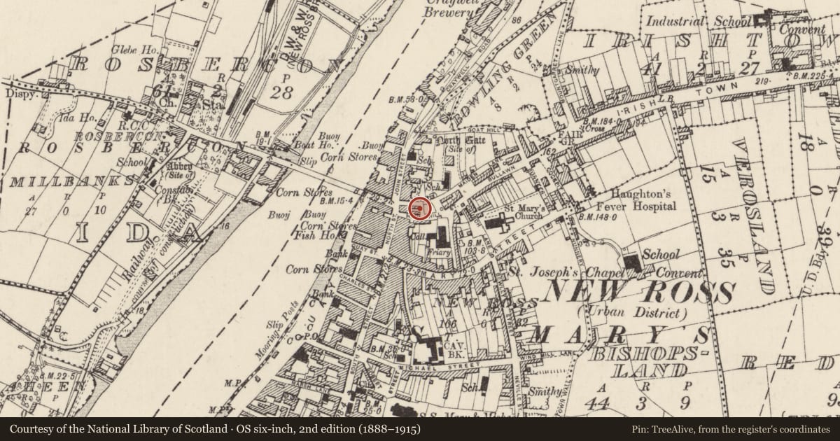 Ordnance Survey six-inch map, 2nd edition (1888–1915) covering the location of House - medieval, New Ross, County Wexford, with a pin at the register's coordinates