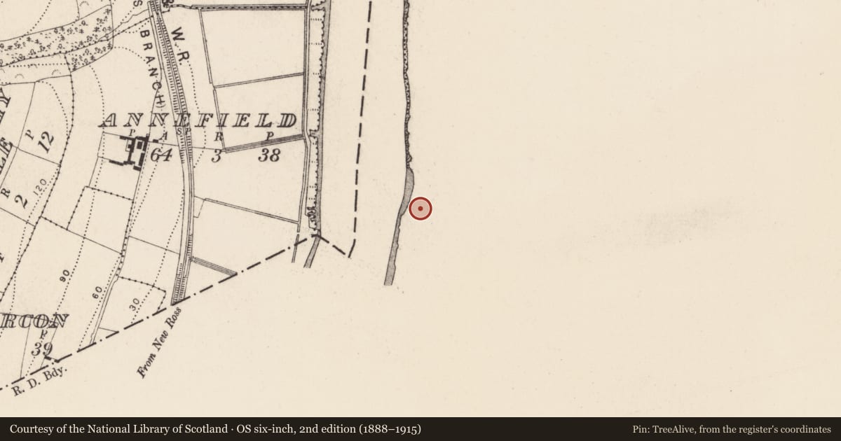 Ordnance Survey six-inch map, 2nd edition (1888–1915) covering the location of Ritual site - holy well, Mountgarrett, County Wexford, with a pin at the register's coordinates