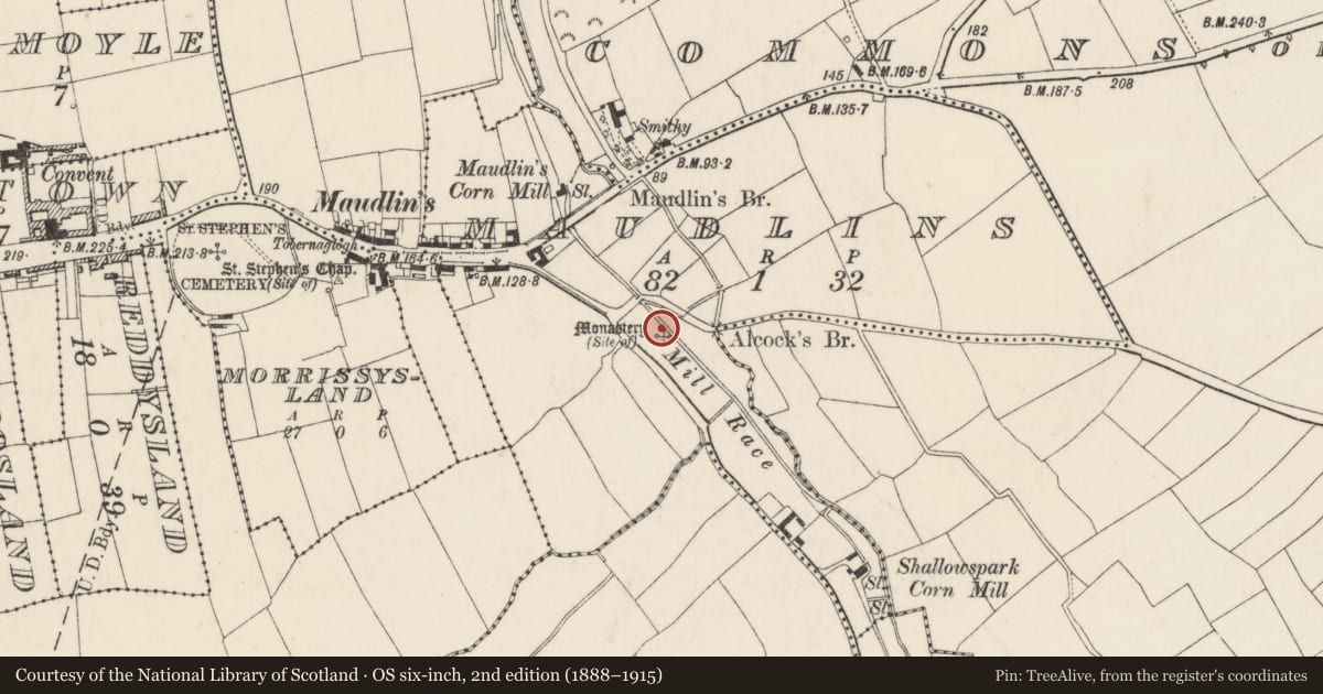 Ordnance Survey six-inch map, 2nd edition (1888–1915) covering the location of Ecclesiastical site, Maudlins, County Wexford, with a pin at the register's coordinates