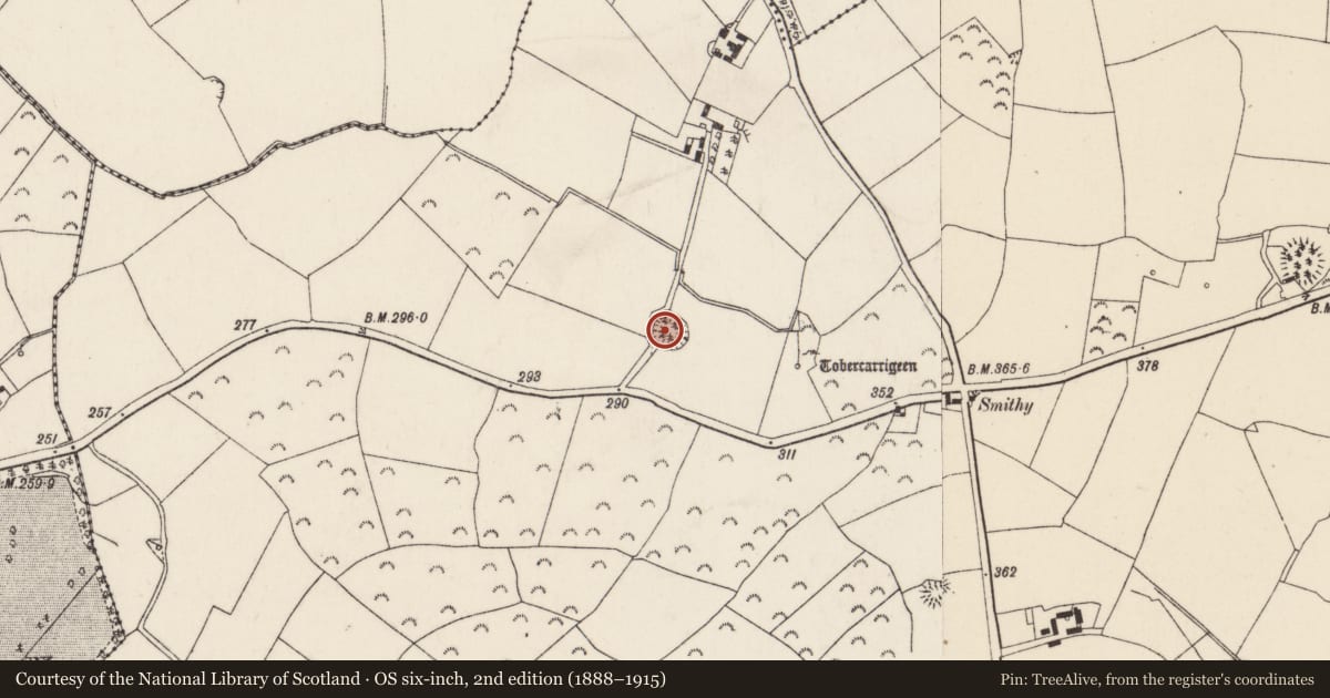 Ordnance Survey six-inch map, 2nd edition (1888–1915) covering the location of Ringfort - rath, Lacken, County Wexford, with a pin at the register's coordinates