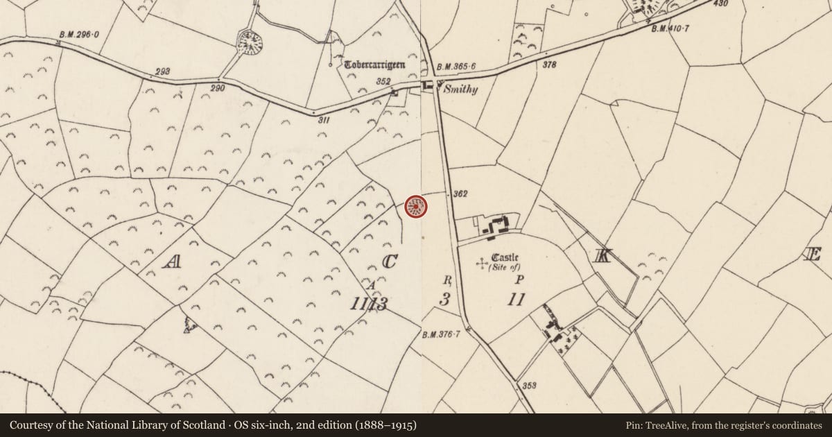 Ordnance Survey six-inch map, 2nd edition (1888–1915) covering the location of Ringfort - rath, Lacken, County Wexford, with a pin at the register's coordinates