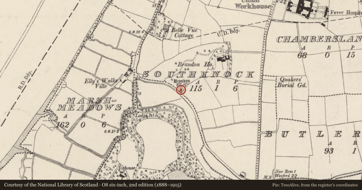 Ordnance Survey six-inch map, 2nd edition (1888–1915) covering the location of Ritual site - holy well, Southknock, County Wexford, with a pin at the register's coordinates