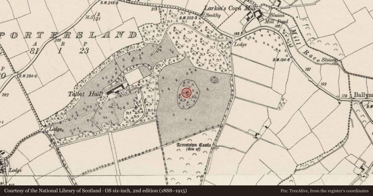 Ordnance Survey six-inch map, 2nd edition (1888–1915) covering the location of Designed landscape - tree-ring, Arnestown, County Wexford, with a pin at the register's coordinates