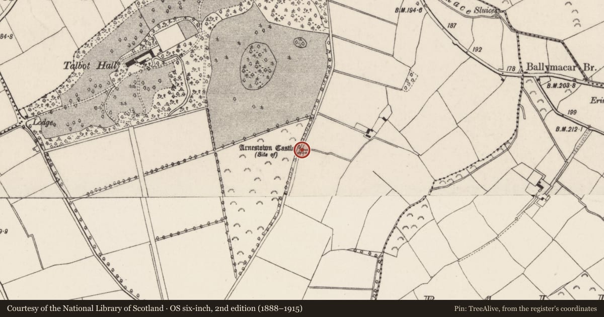 Ordnance Survey six-inch map, 2nd edition (1888–1915) covering the location of Castle - unclassified, Arnestown, County Wexford, with a pin at the register's coordinates