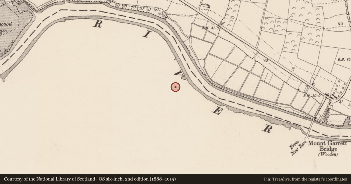 Ordnance Survey six-inch map, 2nd edition (1888–1915) covering the location of Moated site, Mountelliott, County Wexford, with a pin at the register's coordinates