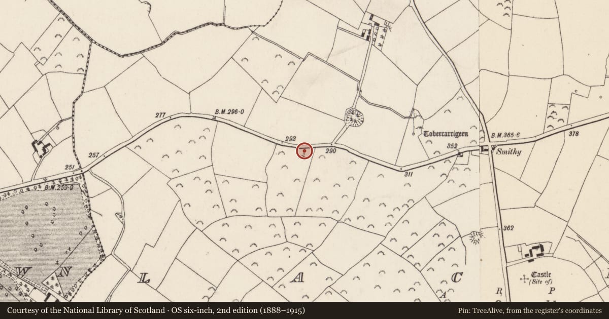 Ordnance Survey six-inch map, 2nd edition (1888–1915) covering the location of Barrow - unclassified, Lacken, County Wexford, with a pin at the register's coordinates