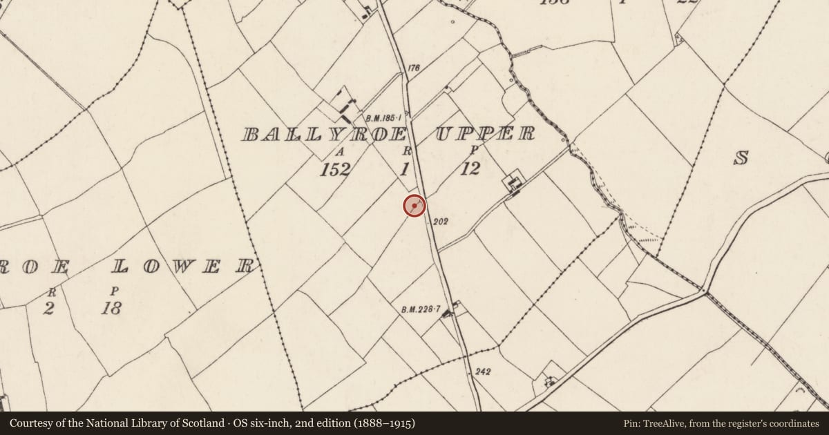 Ordnance Survey six-inch map, 2nd edition (1888–1915) covering the location of Sweathouse, Ballyroe Upper, County Wexford, with a pin at the register's coordinates