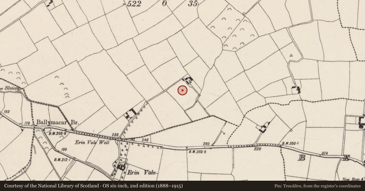 Ordnance Survey six-inch map, 2nd edition (1888–1915) covering the location of Standing stone, Ryleen, County Wexford, with a pin at the register's coordinates