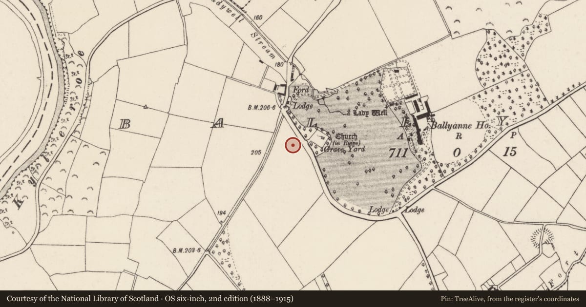 Ordnance Survey six-inch map, 2nd edition (1888–1915) covering the location of Habitation site, Ballyanne, County Wexford, with a pin at the register's coordinates