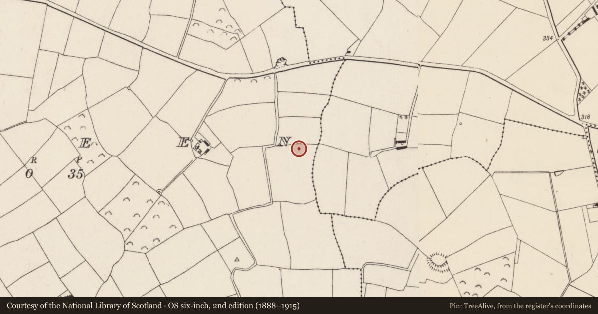 Ordnance Survey six-inch map, 2nd edition (1888–1915) covering the location of Excavation - miscellaneous, Ryleen, County Wexford, with a pin at the register's coordinates