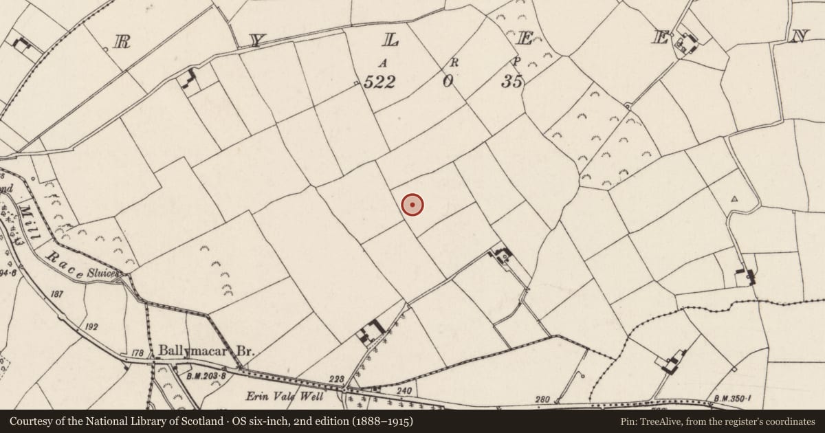 Ordnance Survey six-inch map, 2nd edition (1888–1915) covering the location of House - Neolithic, Ryleen, County Wexford, with a pin at the register's coordinates