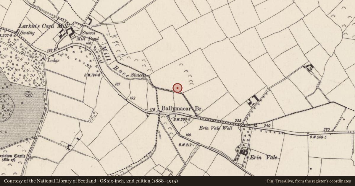 Ordnance Survey six-inch map, 2nd edition (1888–1915) covering the location of Fulacht fia, Ryleen, County Wexford, with a pin at the register's coordinates