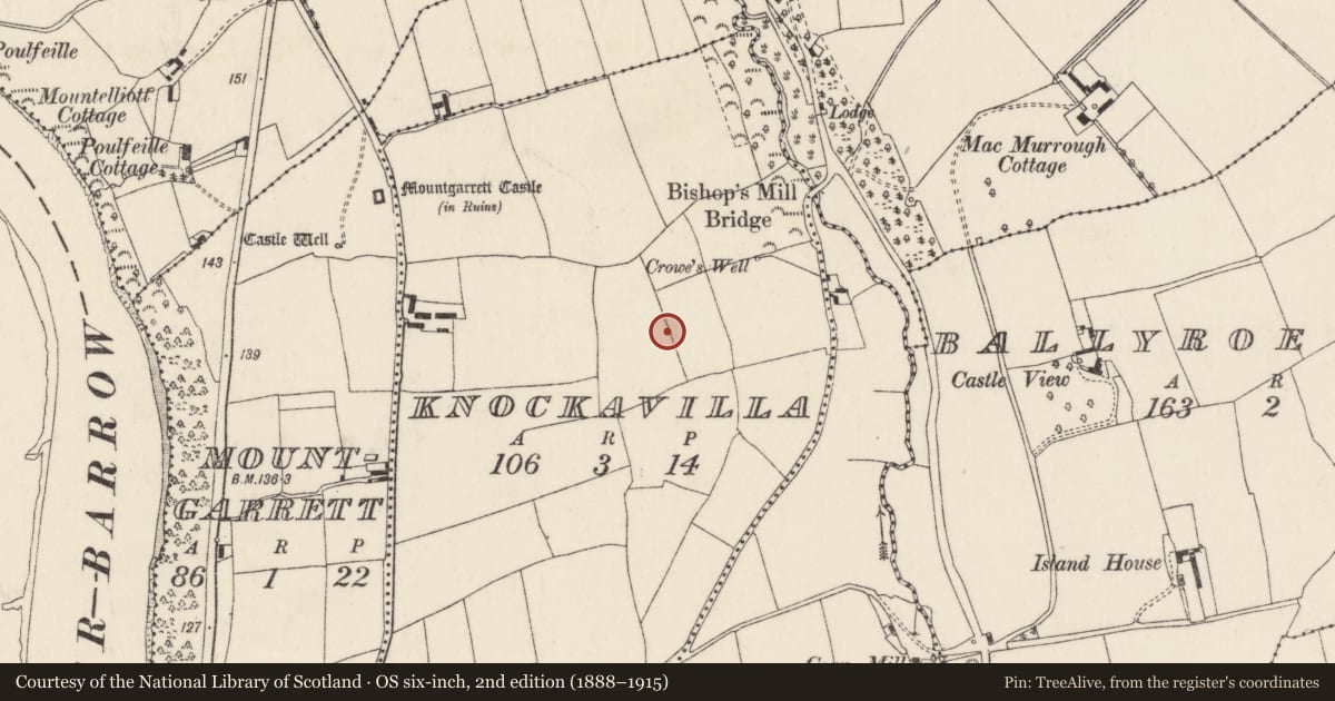 Ordnance Survey six-inch map, 2nd edition (1888–1915) covering the location of Ringfort - rath, Knockavilla, County Wexford, with a pin at the register's coordinates